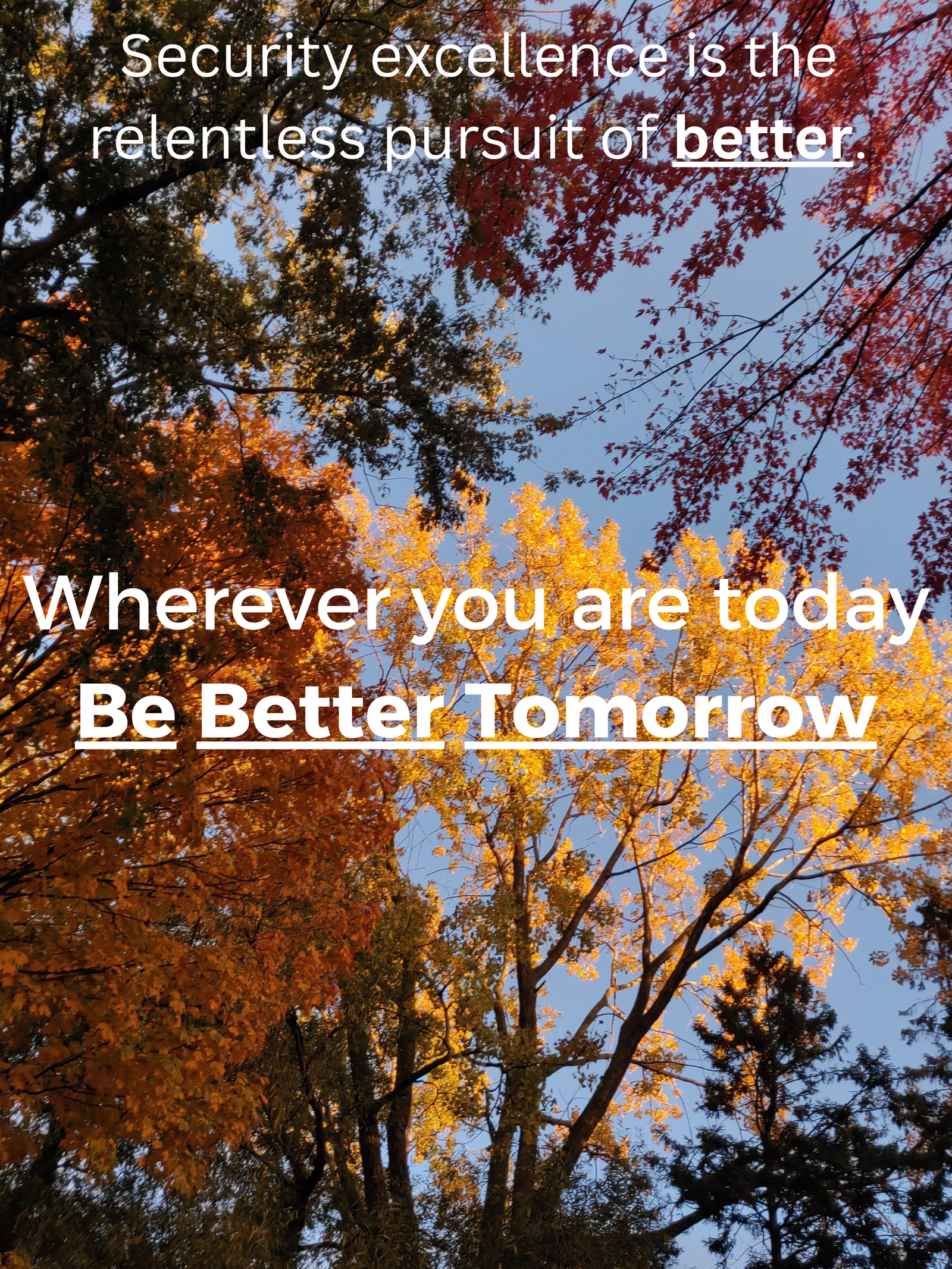 Fall leaves colours in the sky with text